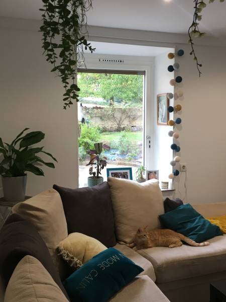 Remplacez vos fenêtres en bois par de l’aluminium bi-coloration à Saint-Martin-en-Haut proche de Saint Symphorien sur Coise